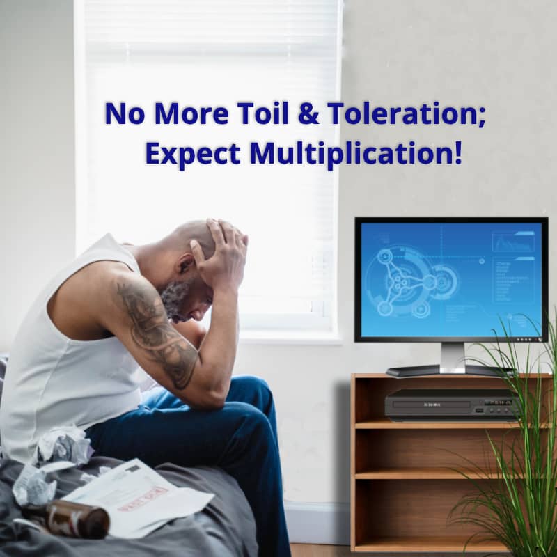 No More Toil & Toleration; Expect Multiplication! Part 10