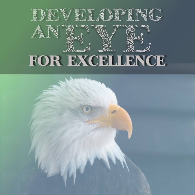 Developing An Eye for Excellence Part 1